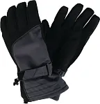 Pánské softshellové rukavice Dare2B OUT RANKED Glove Šedá S