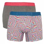 2PACK pánské boxerky Levis vícebarevné (905022001 005) L